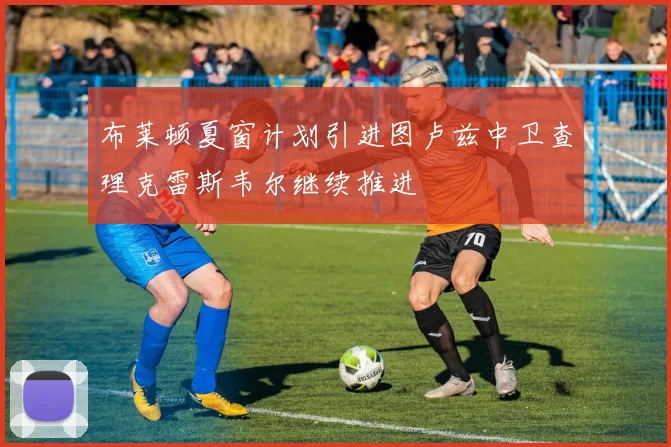 布莱顿夏窗计划引进图卢兹中卫查理克雷斯韦尔继续推进