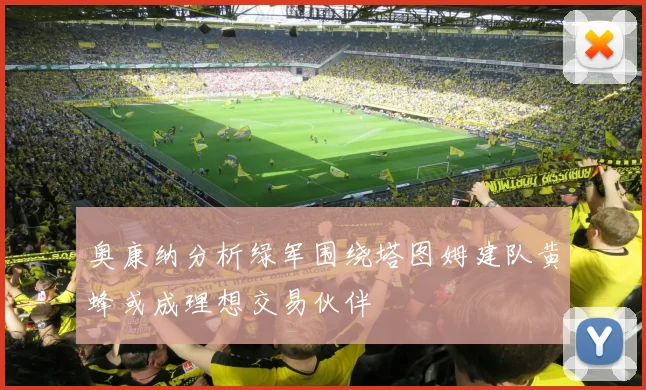 奥康纳分析绿军围绕塔图姆建队黄蜂或成理想交易伙伴